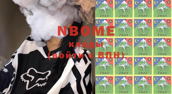 дживик Бородино