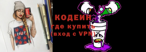дживик Бородино