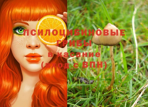 каннабис Рославль