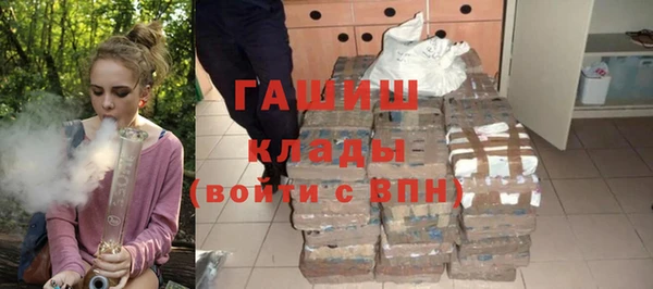 дживик Бородино