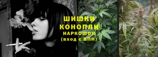 дживик Бородино